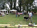 img 119